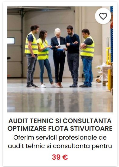 Audit tehnic si consultanta optimizare flota stivuitoare